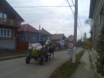 kalotaszeg - sulykorlatozas.jpg kalotaszeg - sulykorlatozas.jpg
